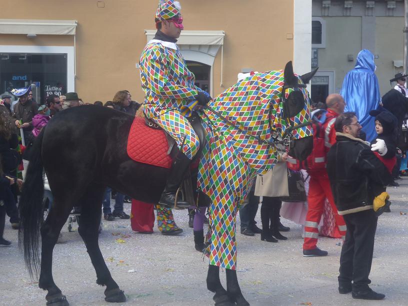 Piace ai materani la festa del Carnevale a cavallo: report e fotogallery -  SassiLive