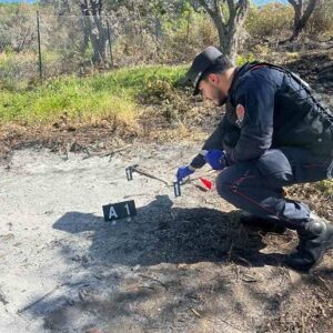 Incendio boschivo a Cirigliano: denunciato conduttore dei terreni dai Carabinieri Forestale di Accettura