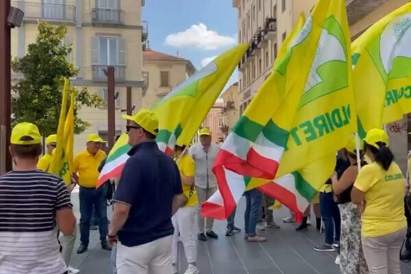 "Blocchi e rallentamenti delle istruttorie sui riconoscimenti delle prestazioni sulle tutele in agricoltura", allarme di Epaca e Coldiretti Basilicata