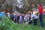 Fondazione Matera 2019 inaugura a Miglionico il primo orto giardino di comunità